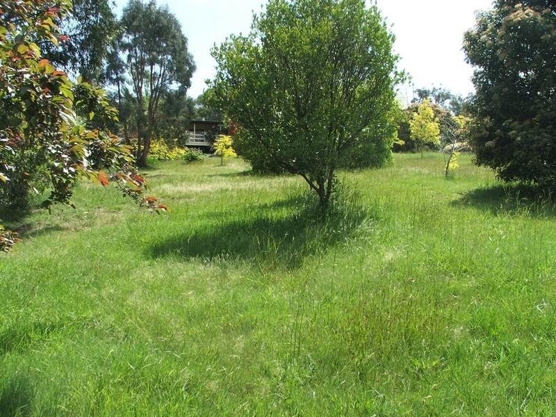 Healesville VIC 3777