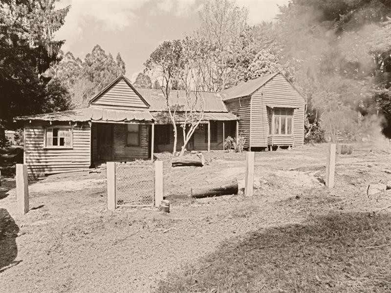 Toolangi VIC 3777