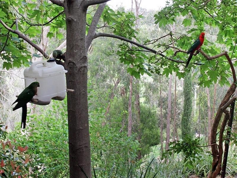 Healesville VIC 3777