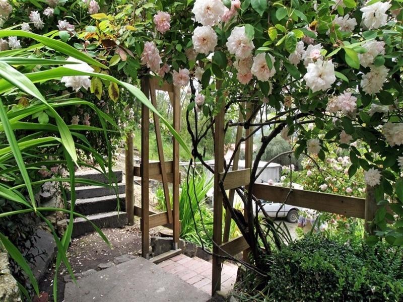 Healesville VIC 3777