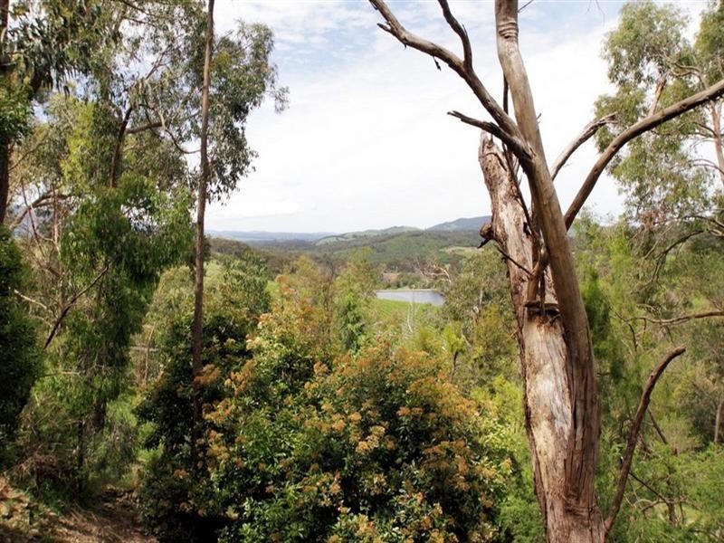 Healesville VIC 3777