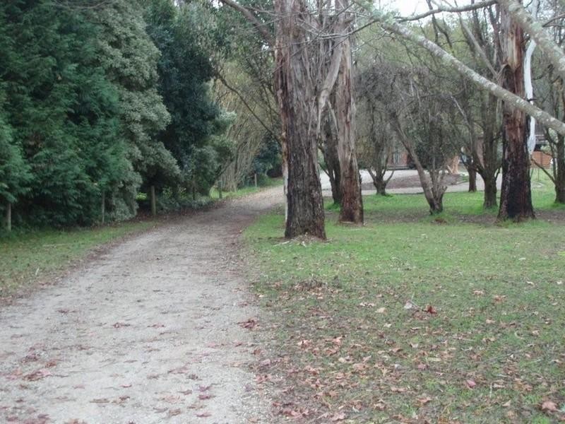 Healesville VIC 3777