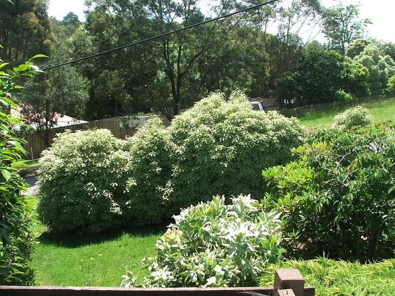 Healesville VIC 3777