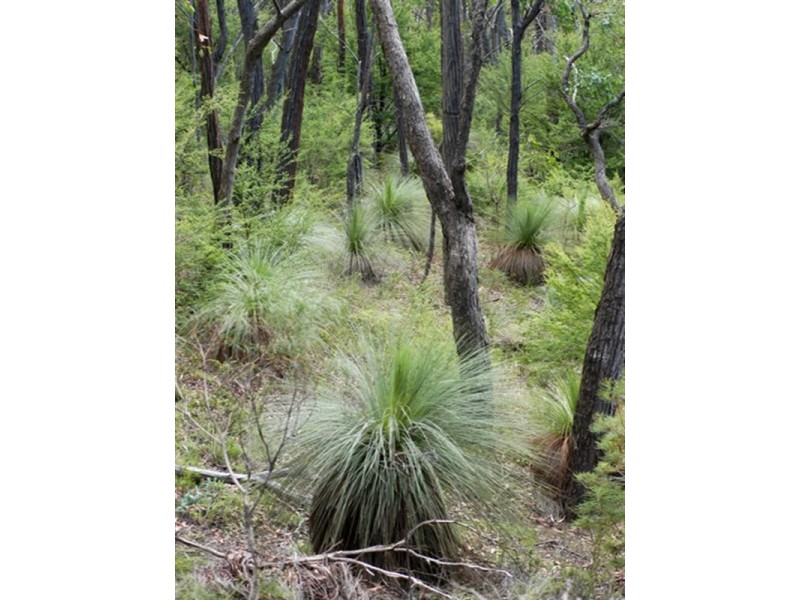 Healesville VIC 3777