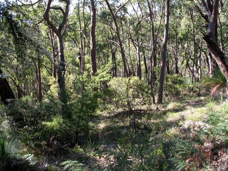 Healesville VIC 3777