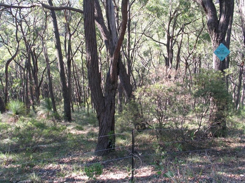 Healesville VIC 3777