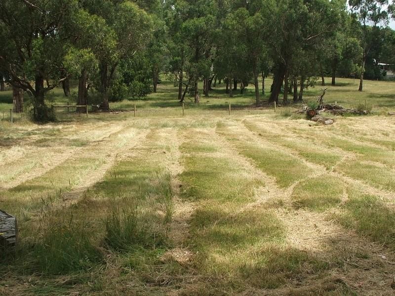 Healesville VIC 3777