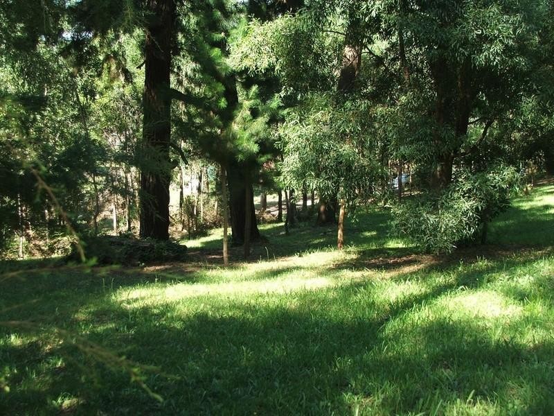 Healesville VIC 3777