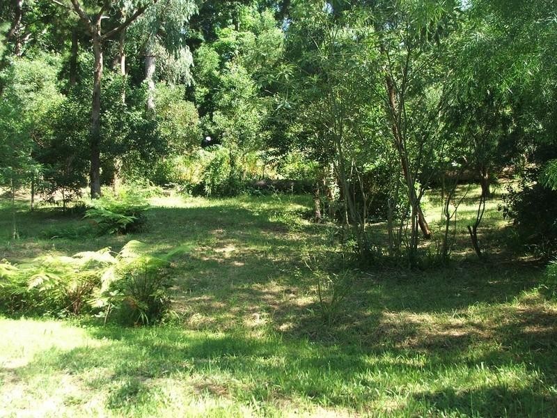 Healesville VIC 3777