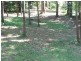 Healesville VIC 3777
