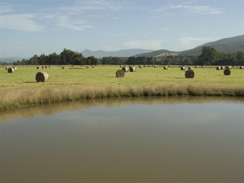 Woori Yallock VIC 3139