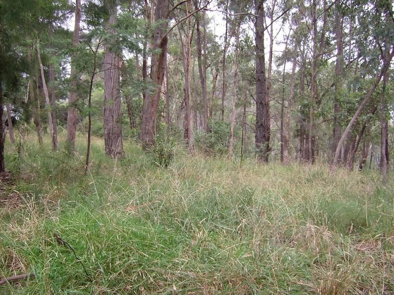 Healesville VIC 3777