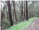 Healesville VIC 3777