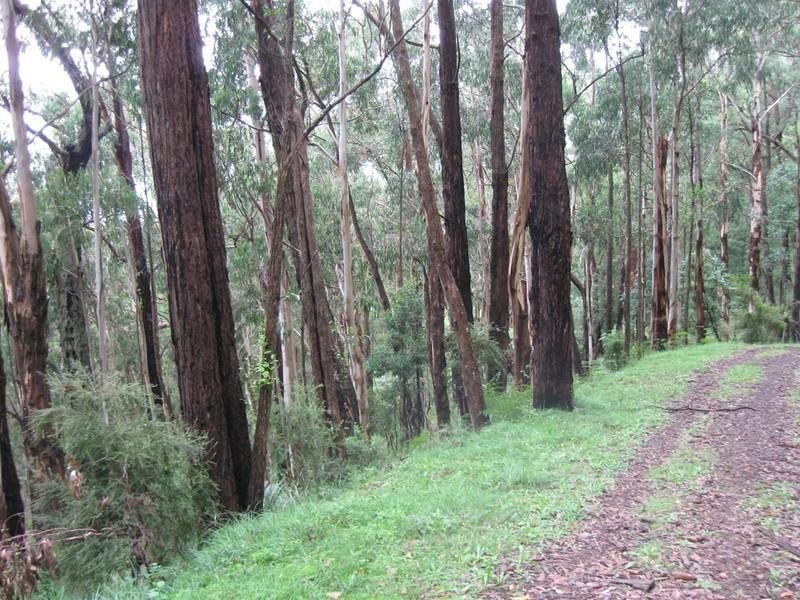 Healesville VIC 3777