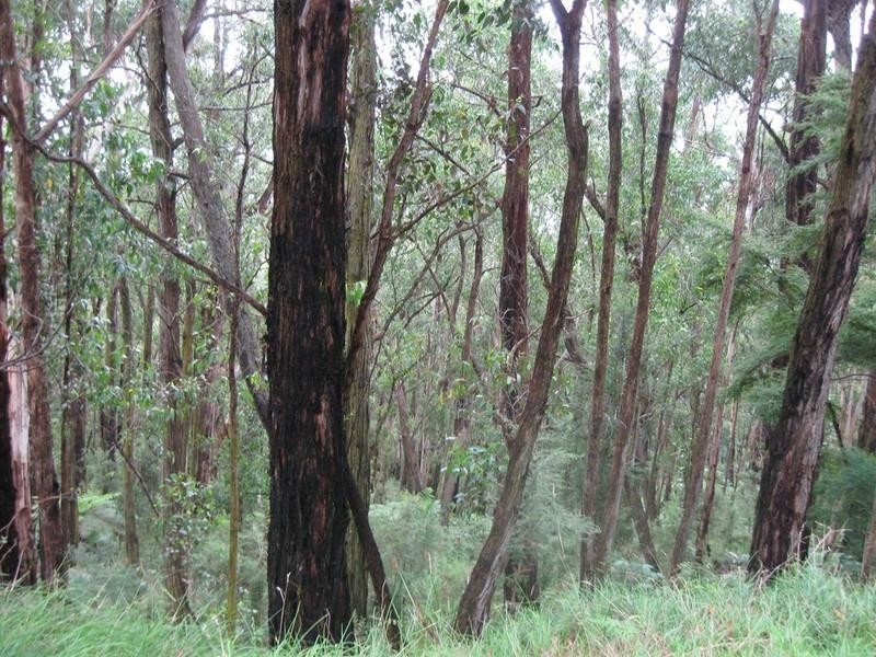Healesville VIC 3777