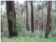 Healesville VIC 3777
