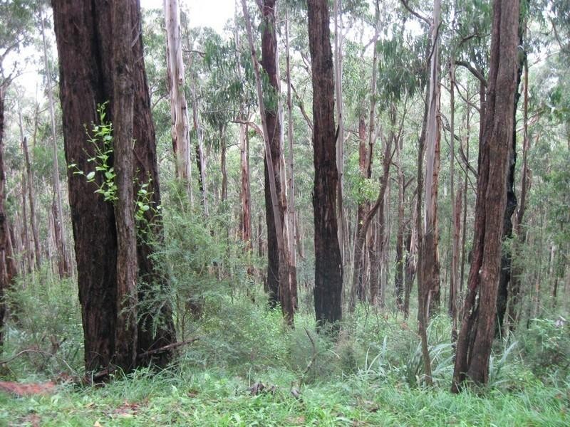 Healesville VIC 3777