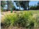 Healesville VIC 3777