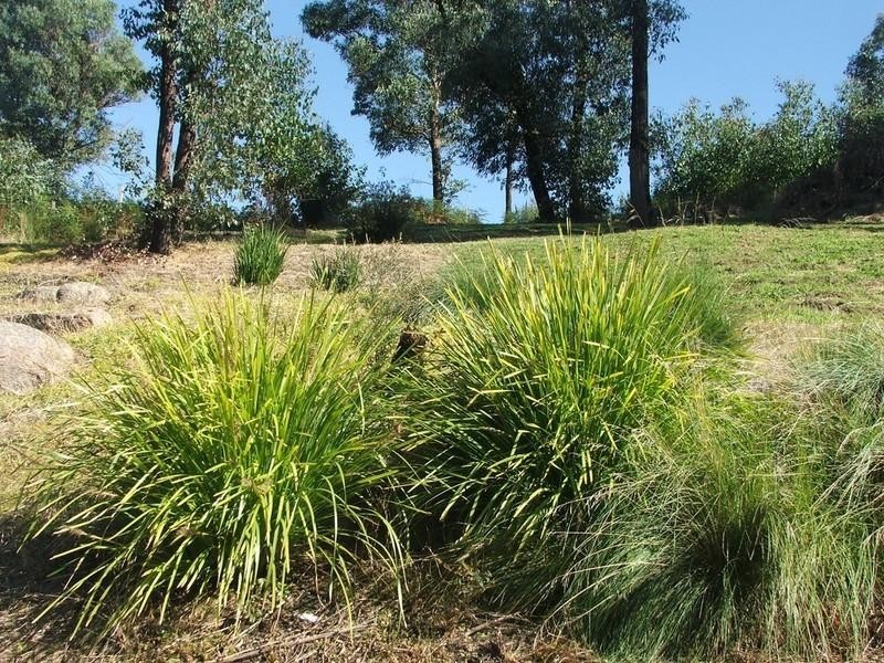 Healesville VIC 3777