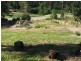 Healesville VIC 3777