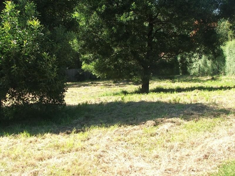 Healesville VIC 3777