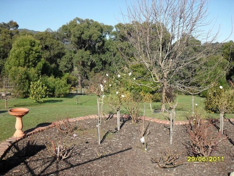 Healesville VIC 3777