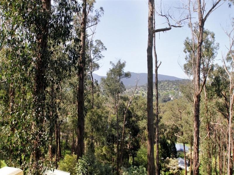 Healesville VIC 3777