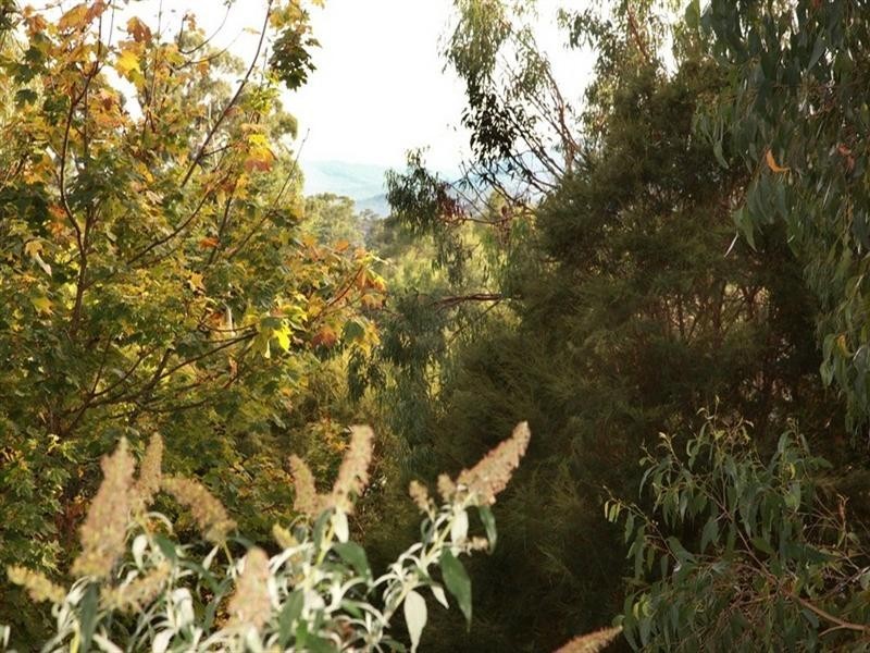 Healesville VIC 3777