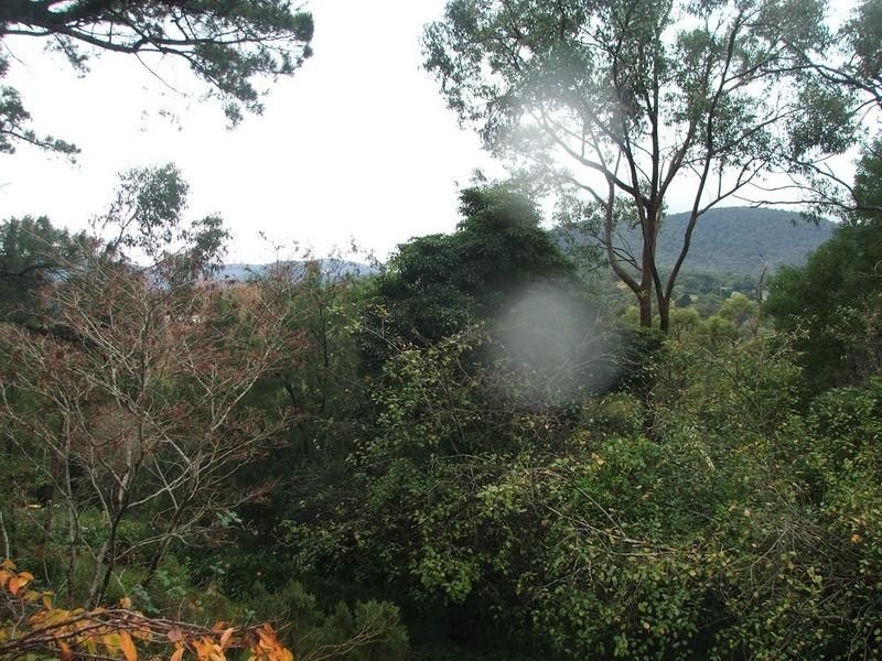 Healesville VIC 3777