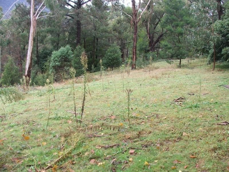 Healesville VIC 3777