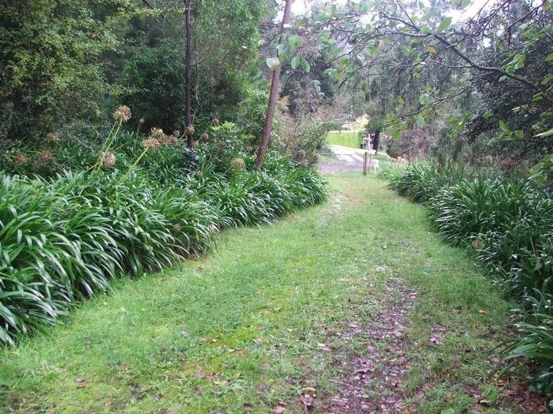 Healesville VIC 3777