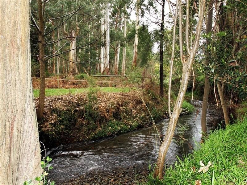 Healesville VIC 3777