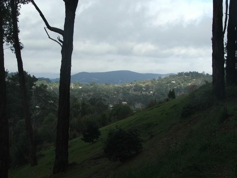 Healesville VIC 3777