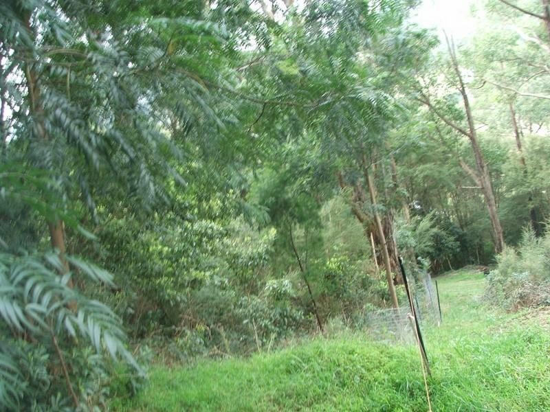 Healesville VIC 3777