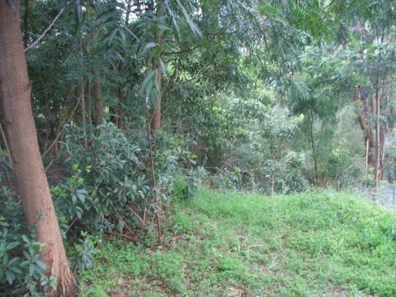 Healesville VIC 3777