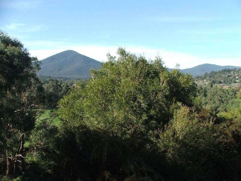 Healesville VIC 3777