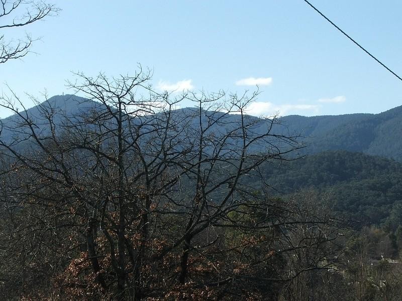 Healesville VIC 3777