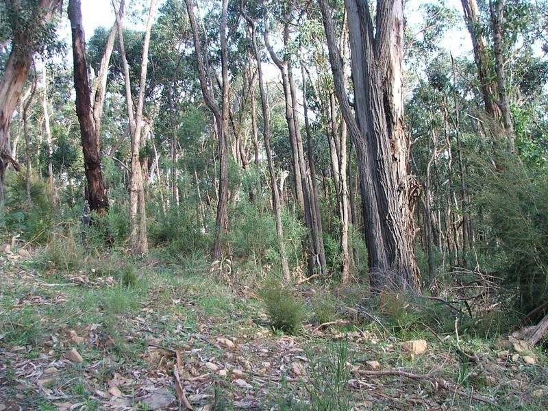 Healesville VIC 3777