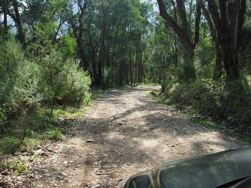 Healesville VIC 3777