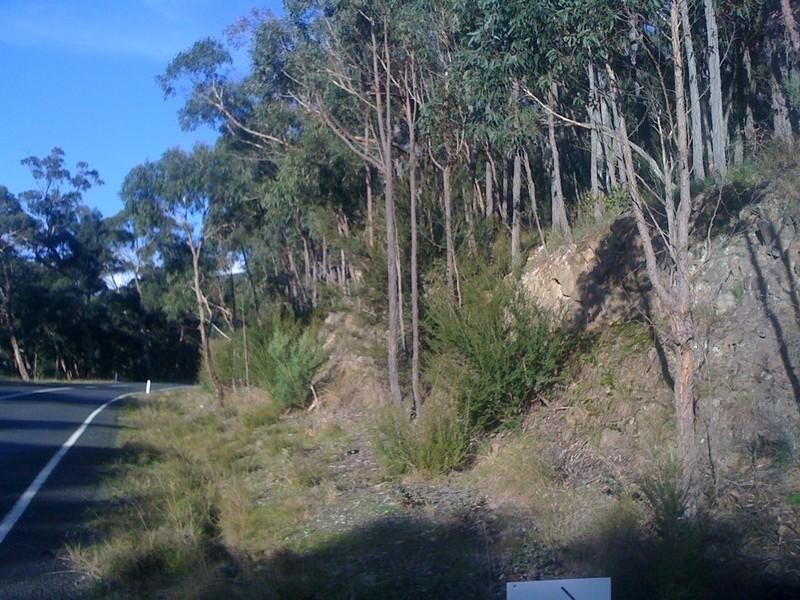 Healesville VIC 3777