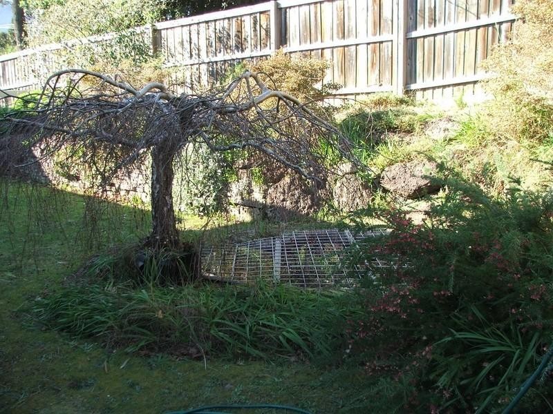 Healesville VIC 3777