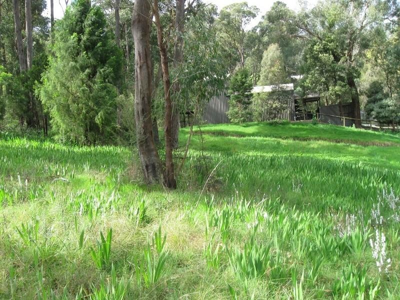 Healesville VIC 3777