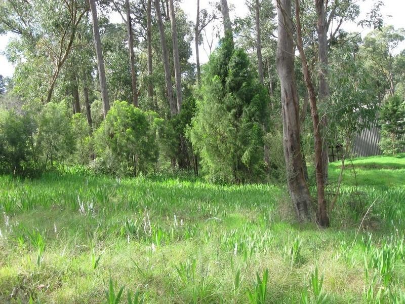 Healesville VIC 3777