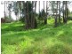 Healesville VIC 3777