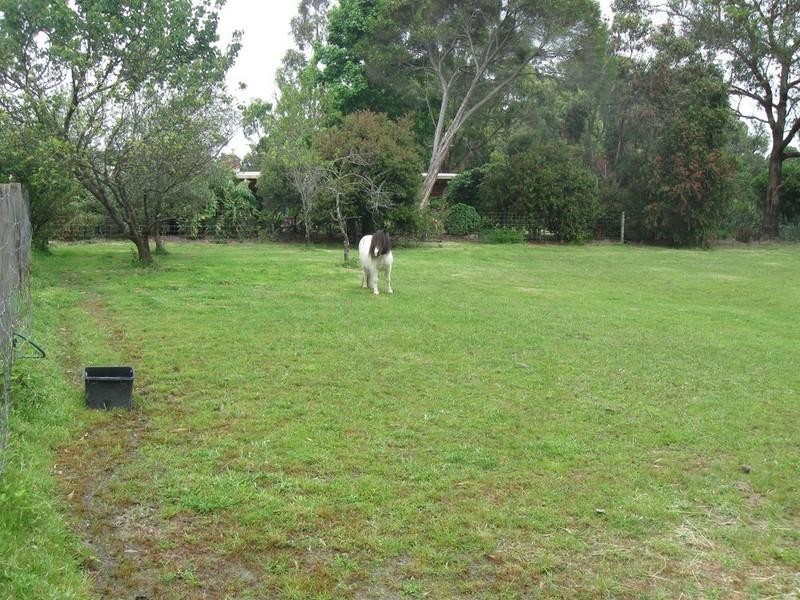 Healesville VIC 3777