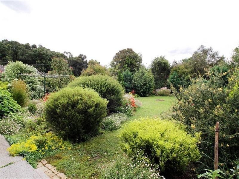 Healesville VIC 3777