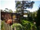 Healesville VIC 3777