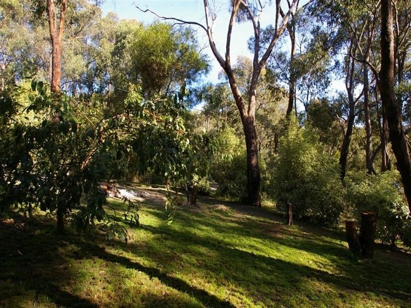 Healesville VIC 3777