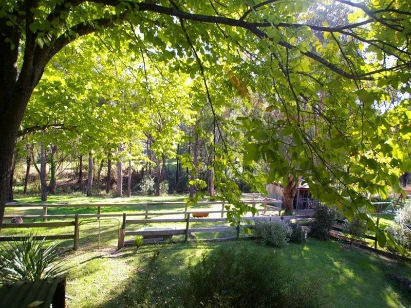 Healesville VIC 3777