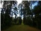 Healesville VIC 3777
